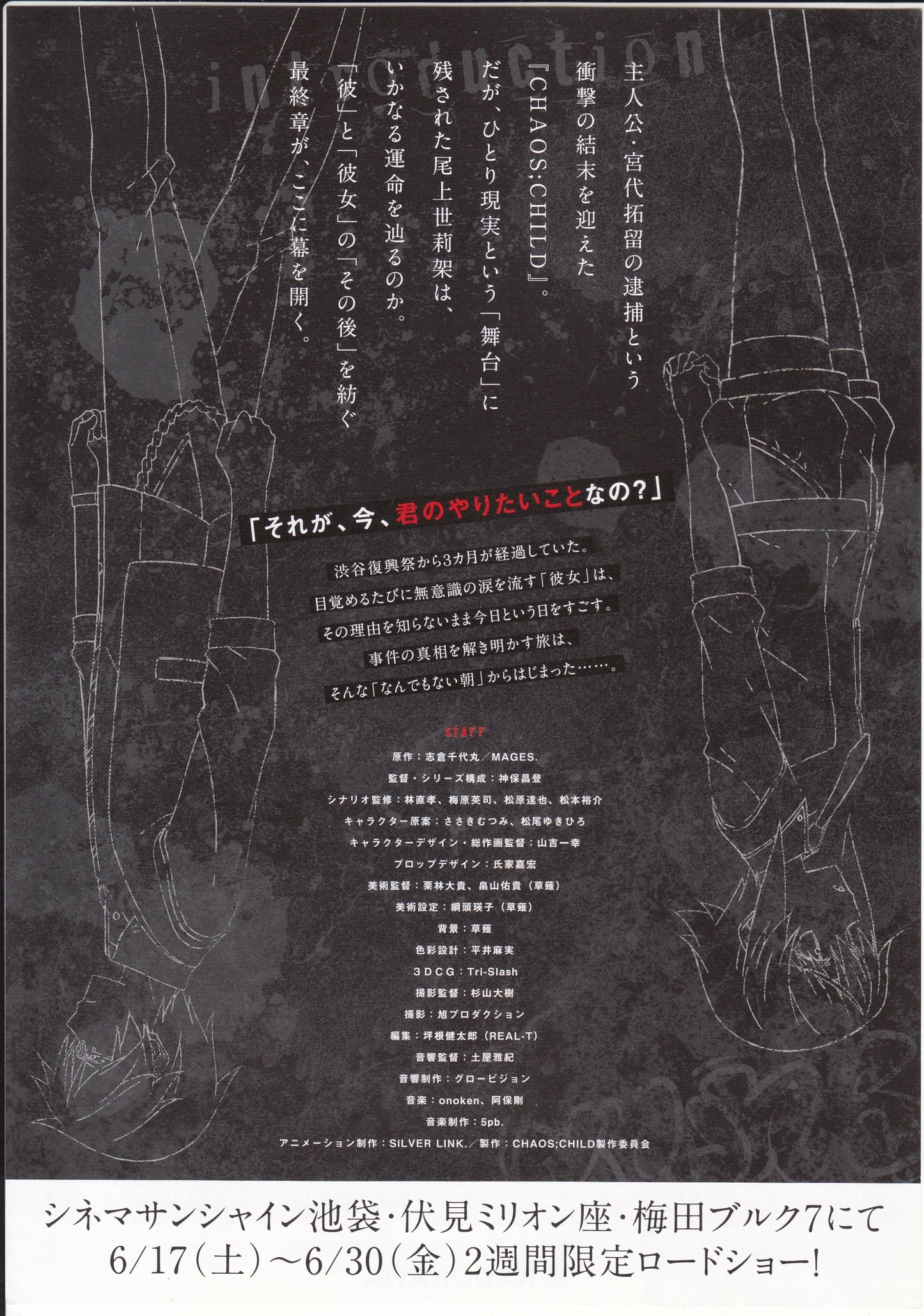 Chaos Child Silent Sky Japanese Anime Chirashi Mini Ad-Flyer Poster 2018