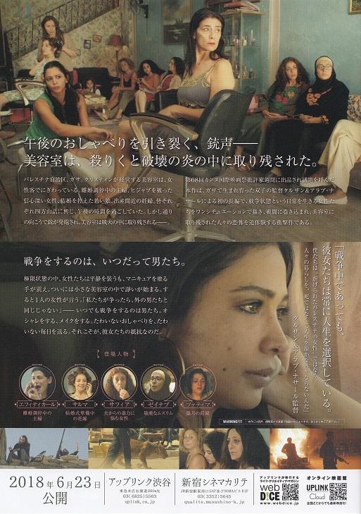 Degrade Japanese Chirashi Mini Ad-Flyer Poster 2015 B