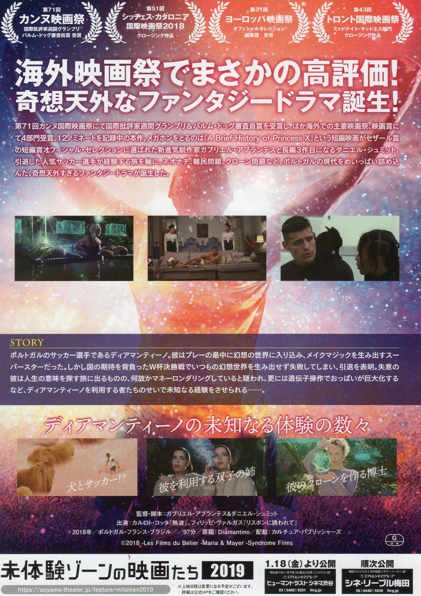 Diamantino Japanese Chirashi Mini Ad-Flyer Poster 2018