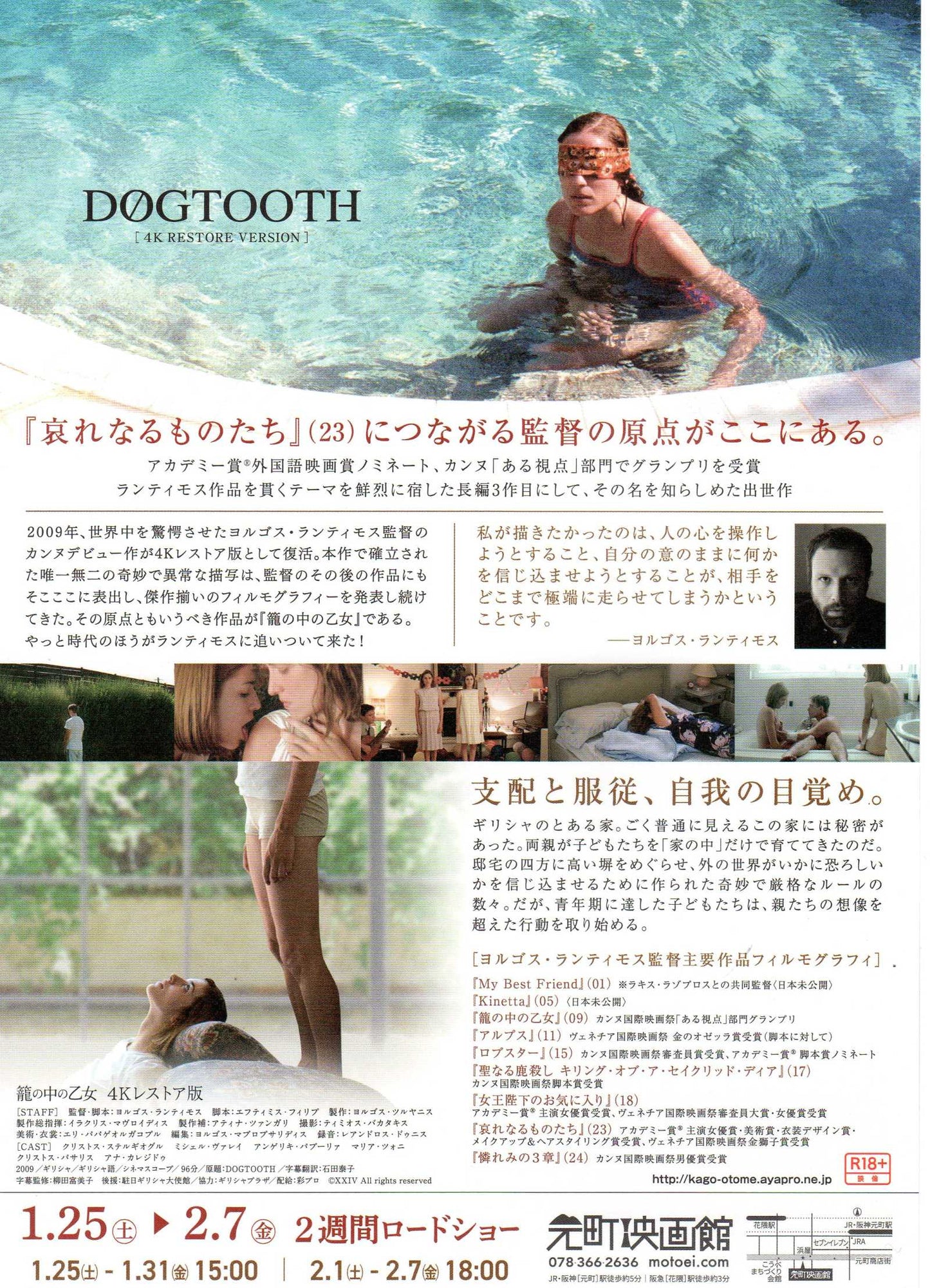 Dogtooth Japanese Chirashi Mini Ad-Flyer Poster 2009R