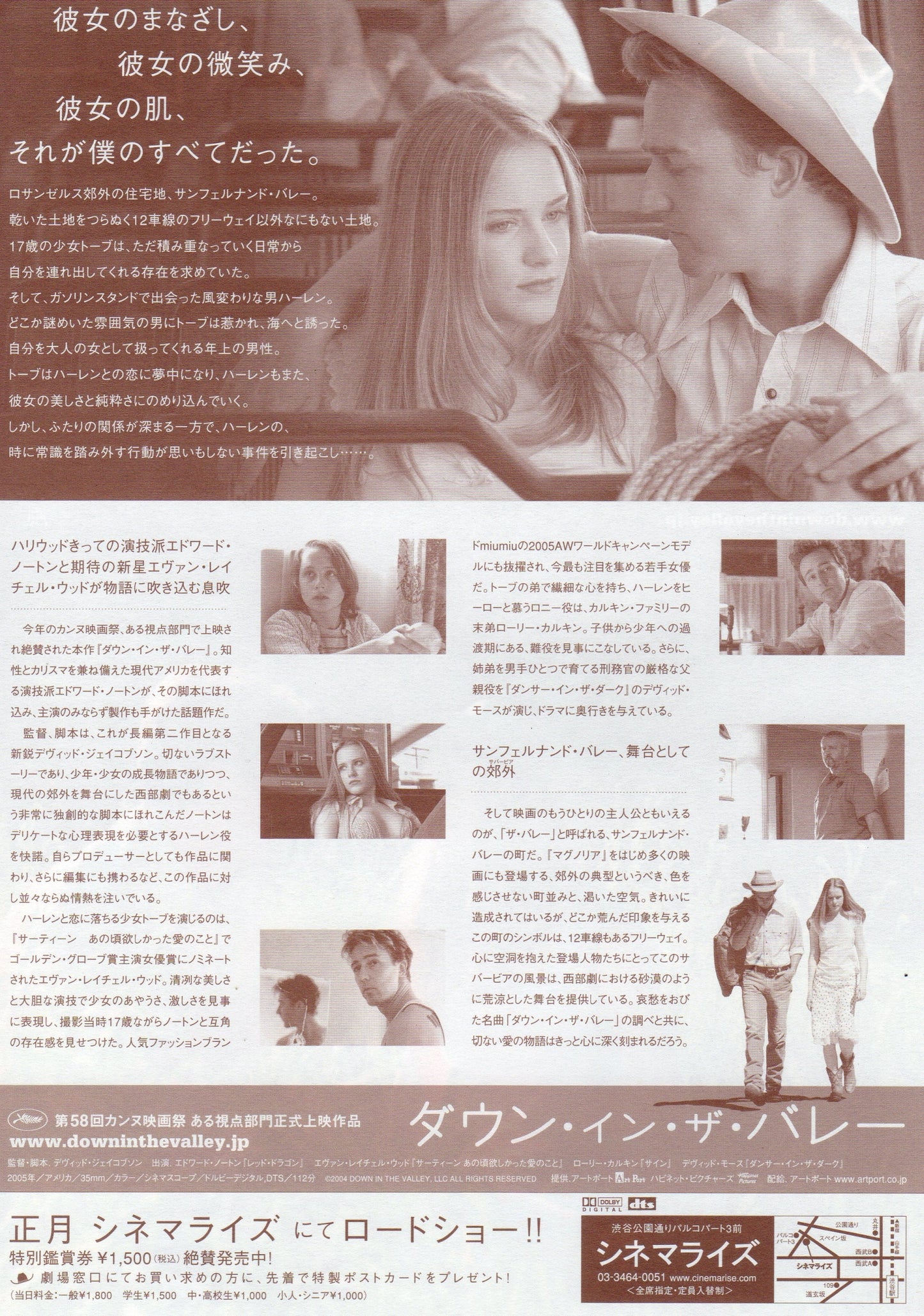 Down In The Valley Japanese Chirashi Mini Ad-Flyer Poster 2005 A Norton