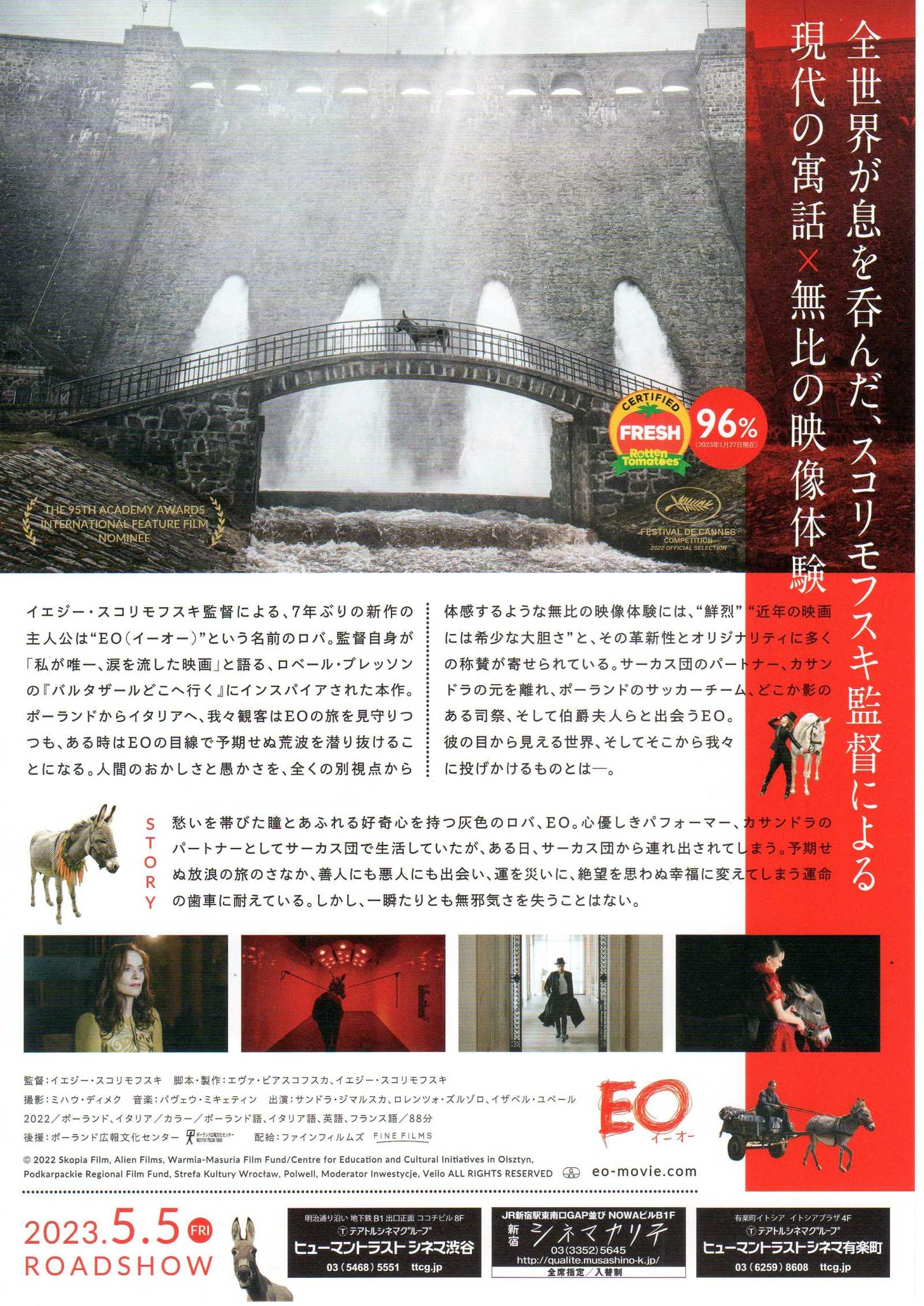 Eo Japanese Chirashi Mini Ad-Flyer Poster 2022 Jerzy Skolimowski