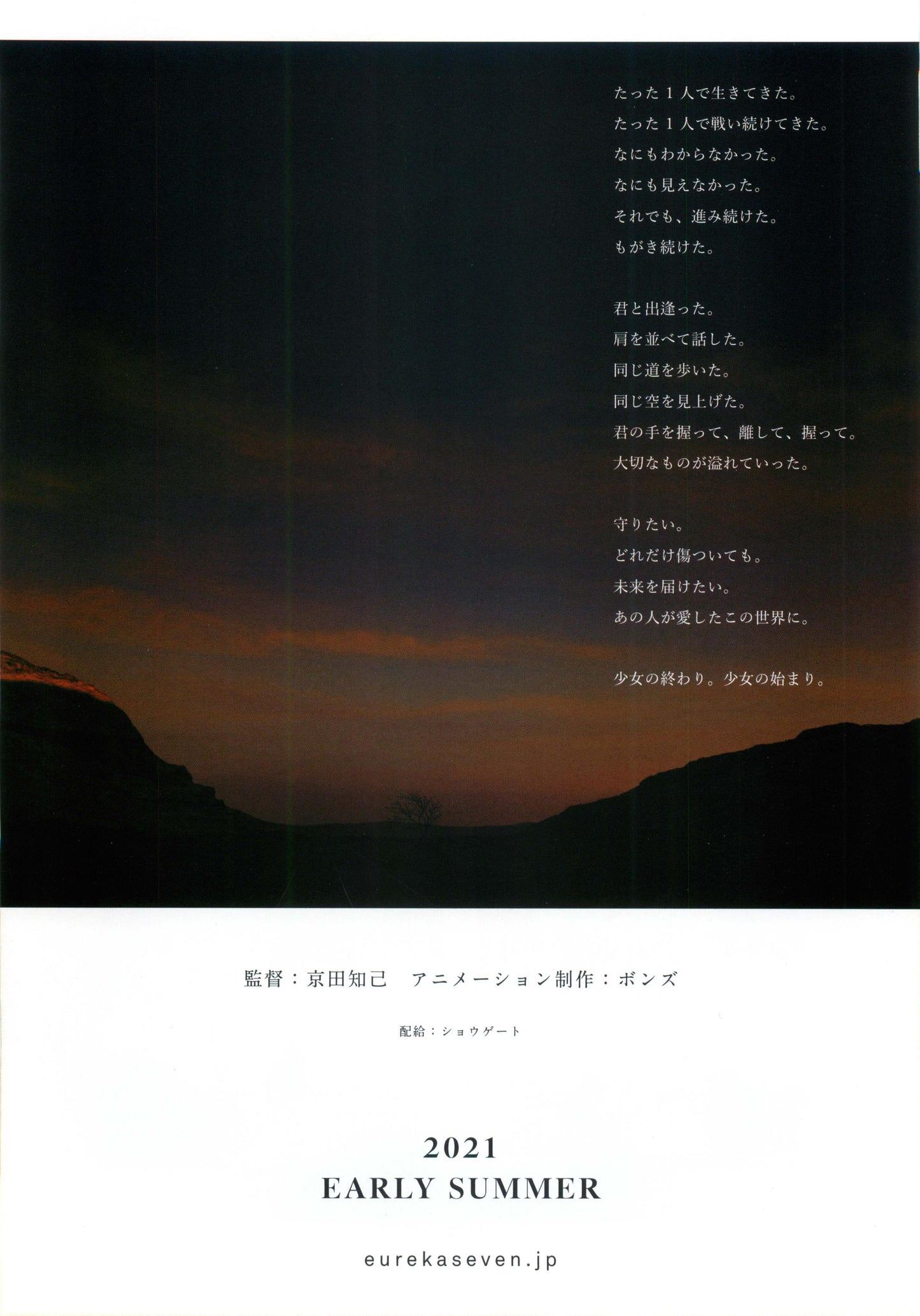 Eureka Seven Hi-Evolution Japanese Anime Chirashi Mini Ad-Flyer Poster 2021 A