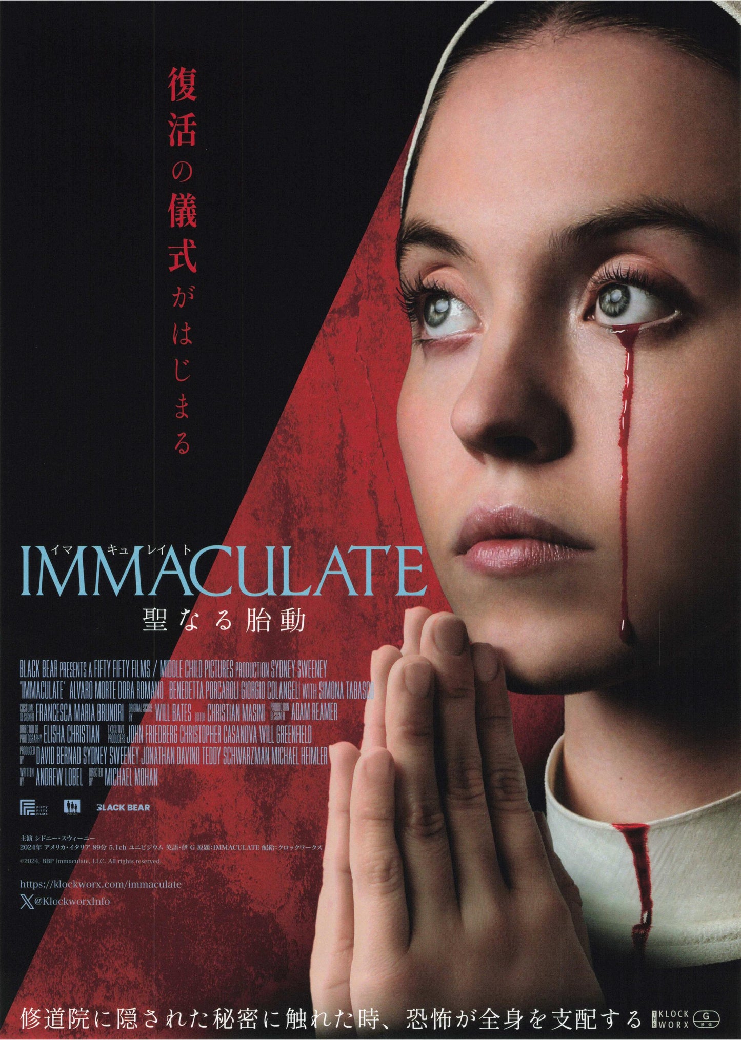 Immaculate Japanese Chirashi Mini Ad-Flyer Poster 2024