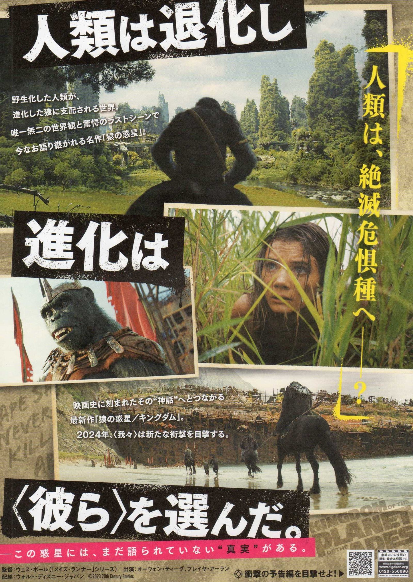 Kingdom of The Planet of The Apes Japanese Chirashi Mini Ad-Flyer Poster 2024 A