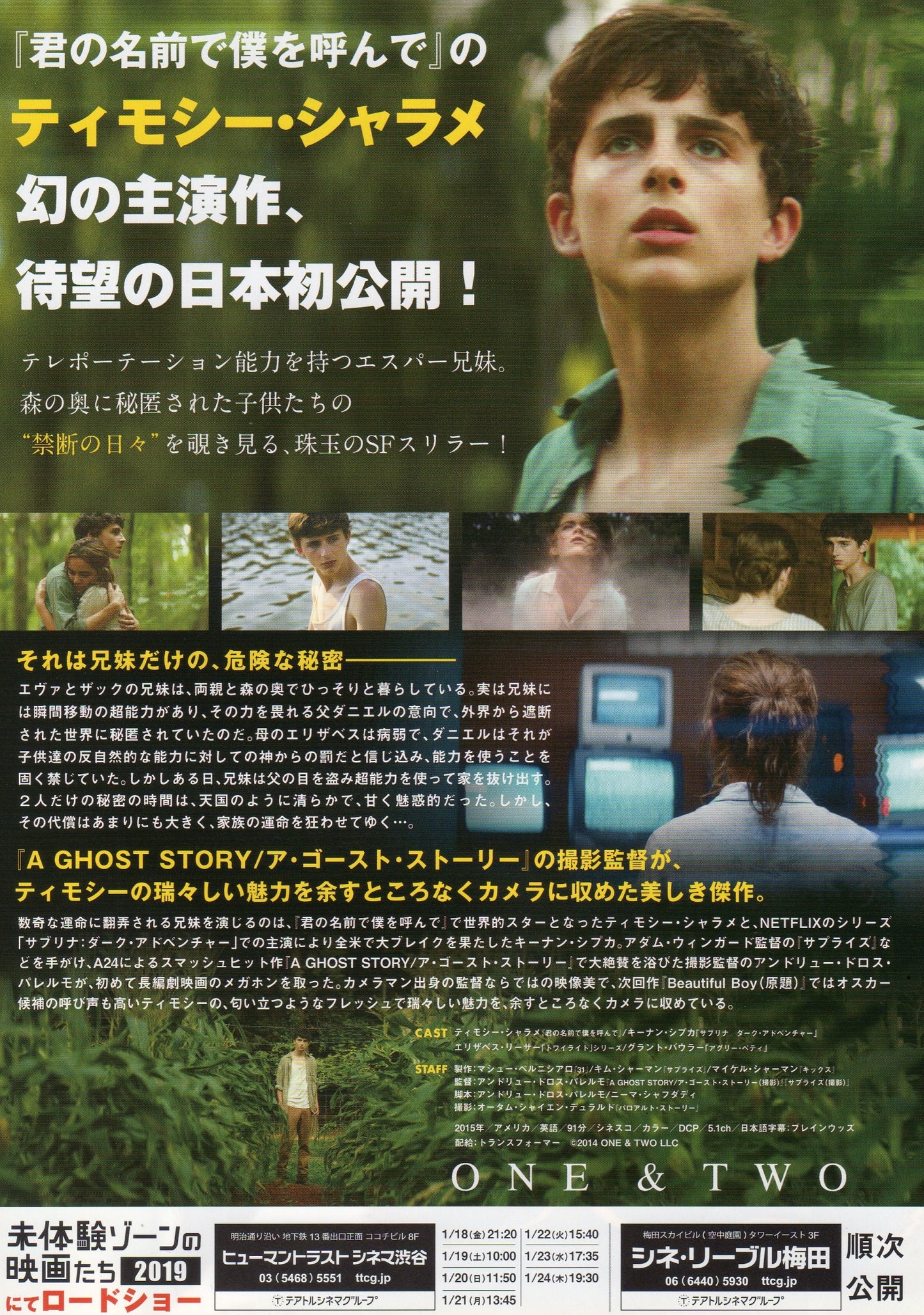 One And Two Japanese Chirashi Mini Ad-Flyer Poster 2015 Chalamet