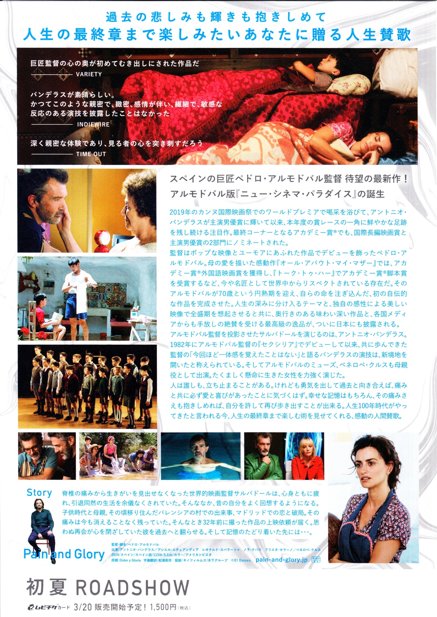 Pain And Glory Japanese Chirashi Mini Ad-Flyer Poster 2019 Almodovar
