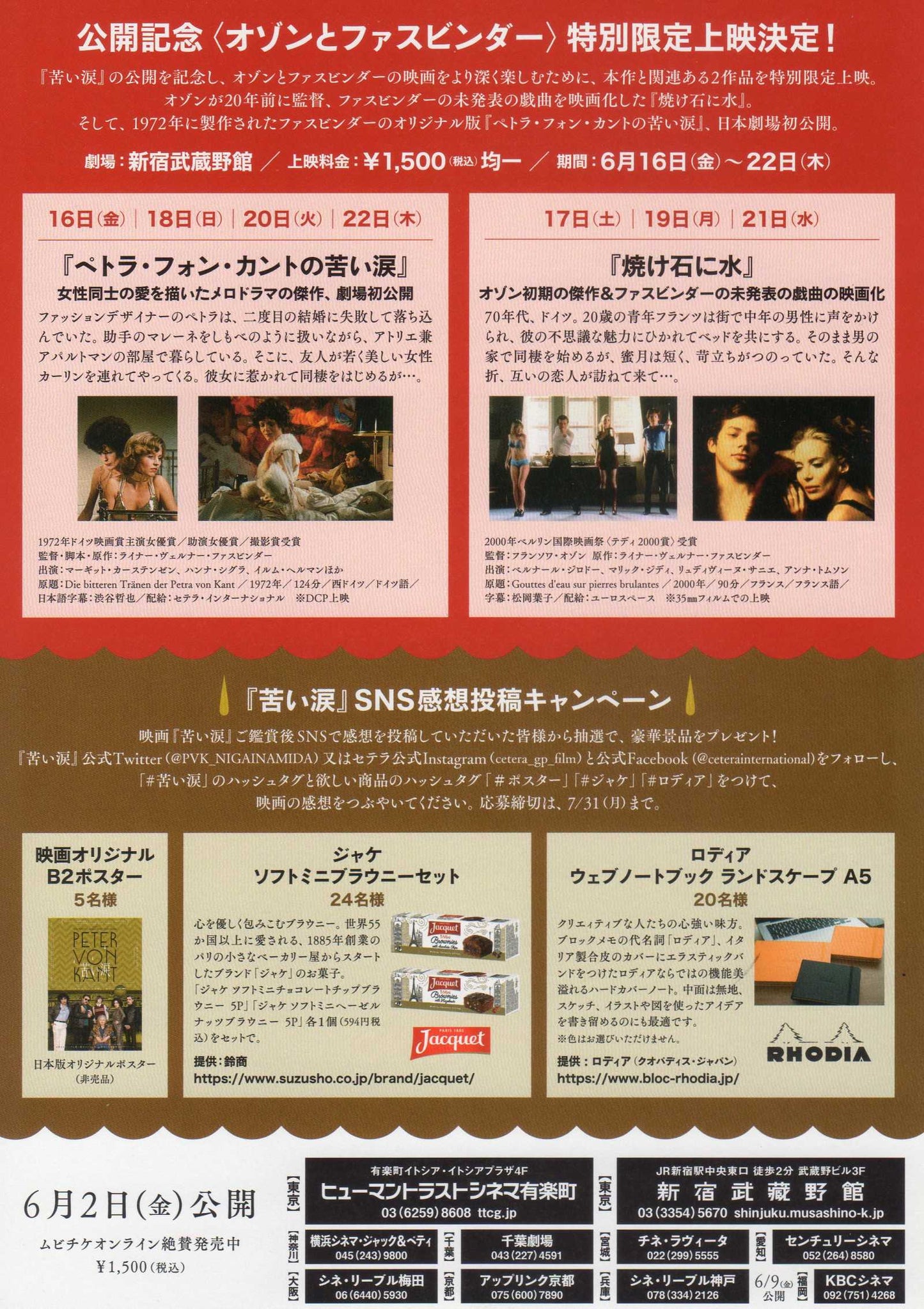 Peter Von Kant Japanese Chirashi Mini Ad-Flyer Poster 2022 4p