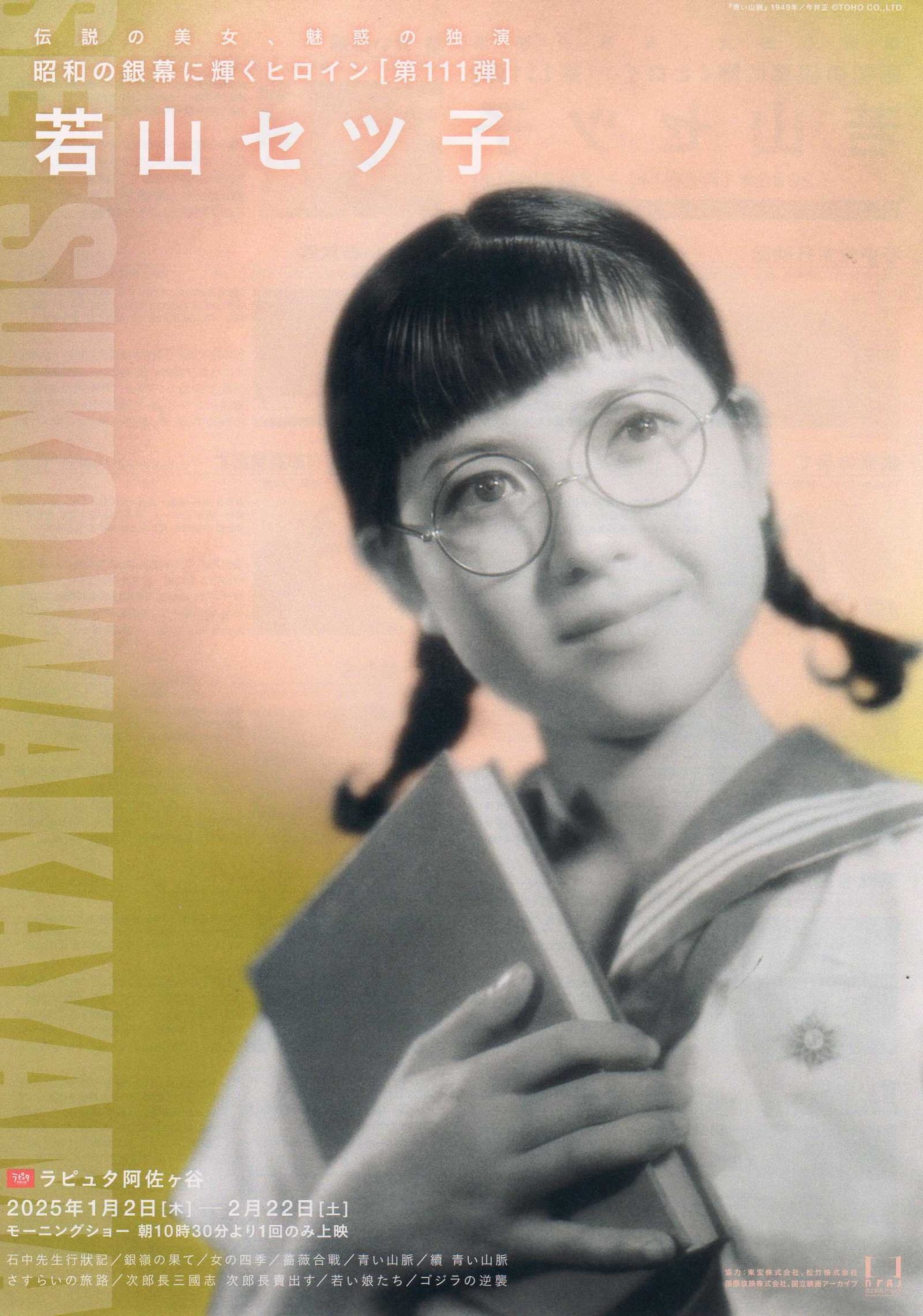 Setsuko Wakayama Retrospective Japanese Chirashi Mini Ad-Flyer Poster 2025