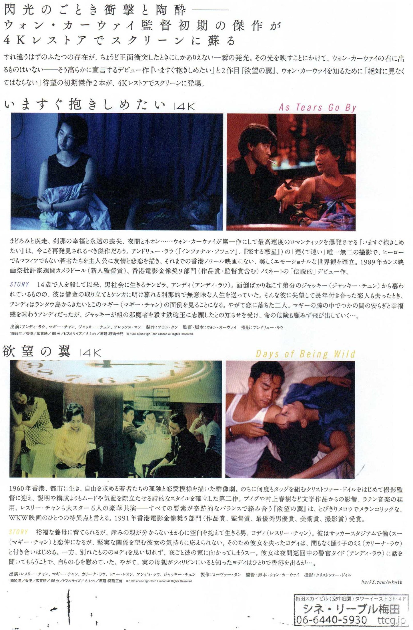 Wong Kar-Wai Retrospective Japanese Chirashi Mini Ad-Flyer Poster 2023