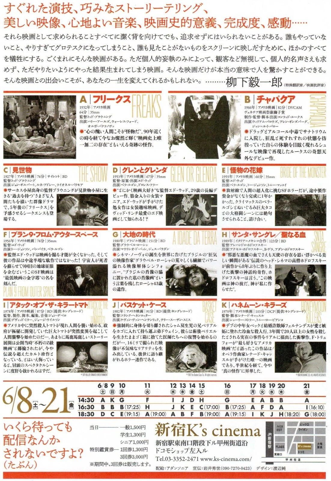 Bizarre Film Festival Japanese Chirashi Mini Ad-Flyer Poster 2019