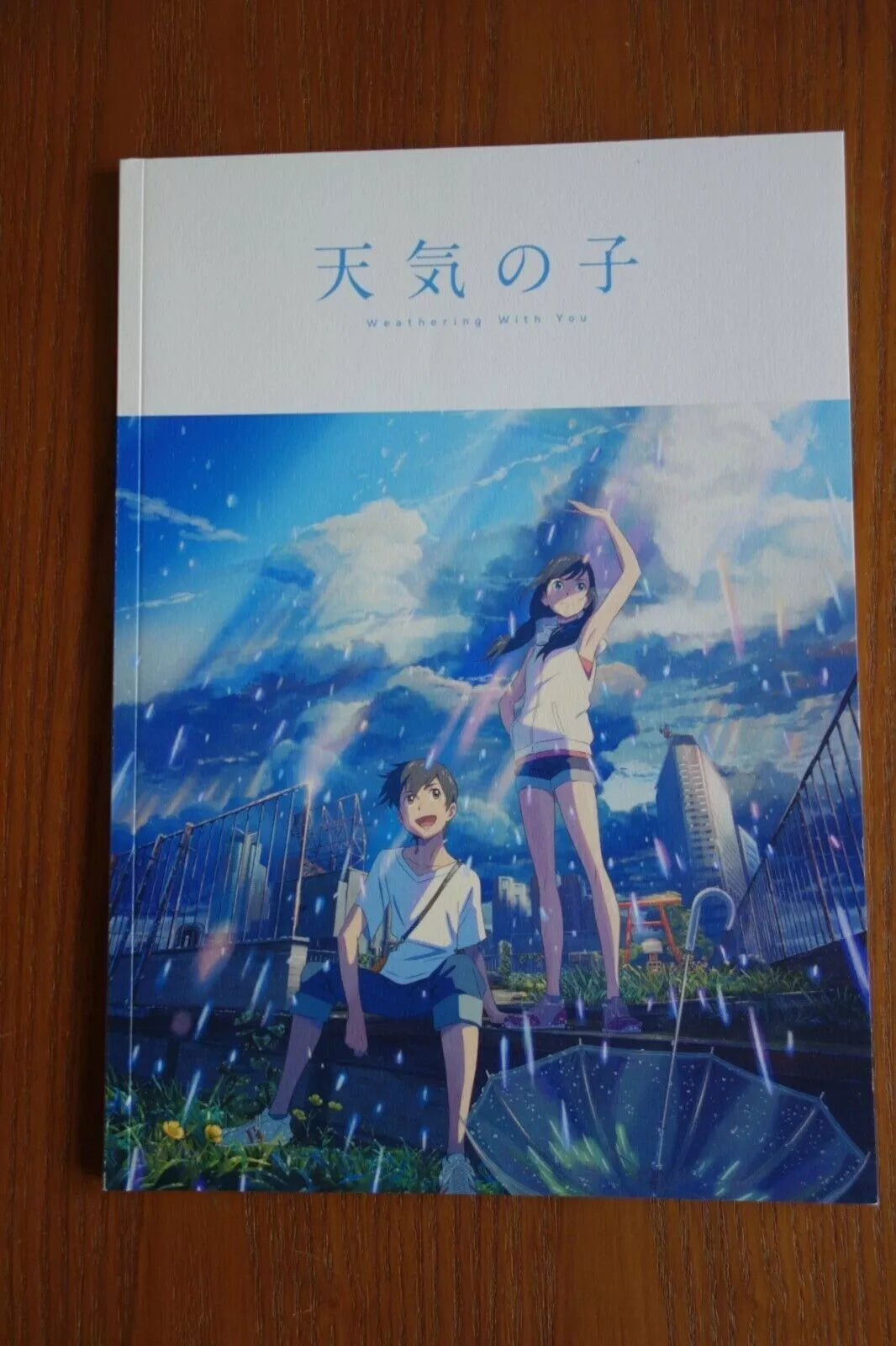 Weathering With You Japanese Anime Movie Program Pamphlet 2019 Shinkai