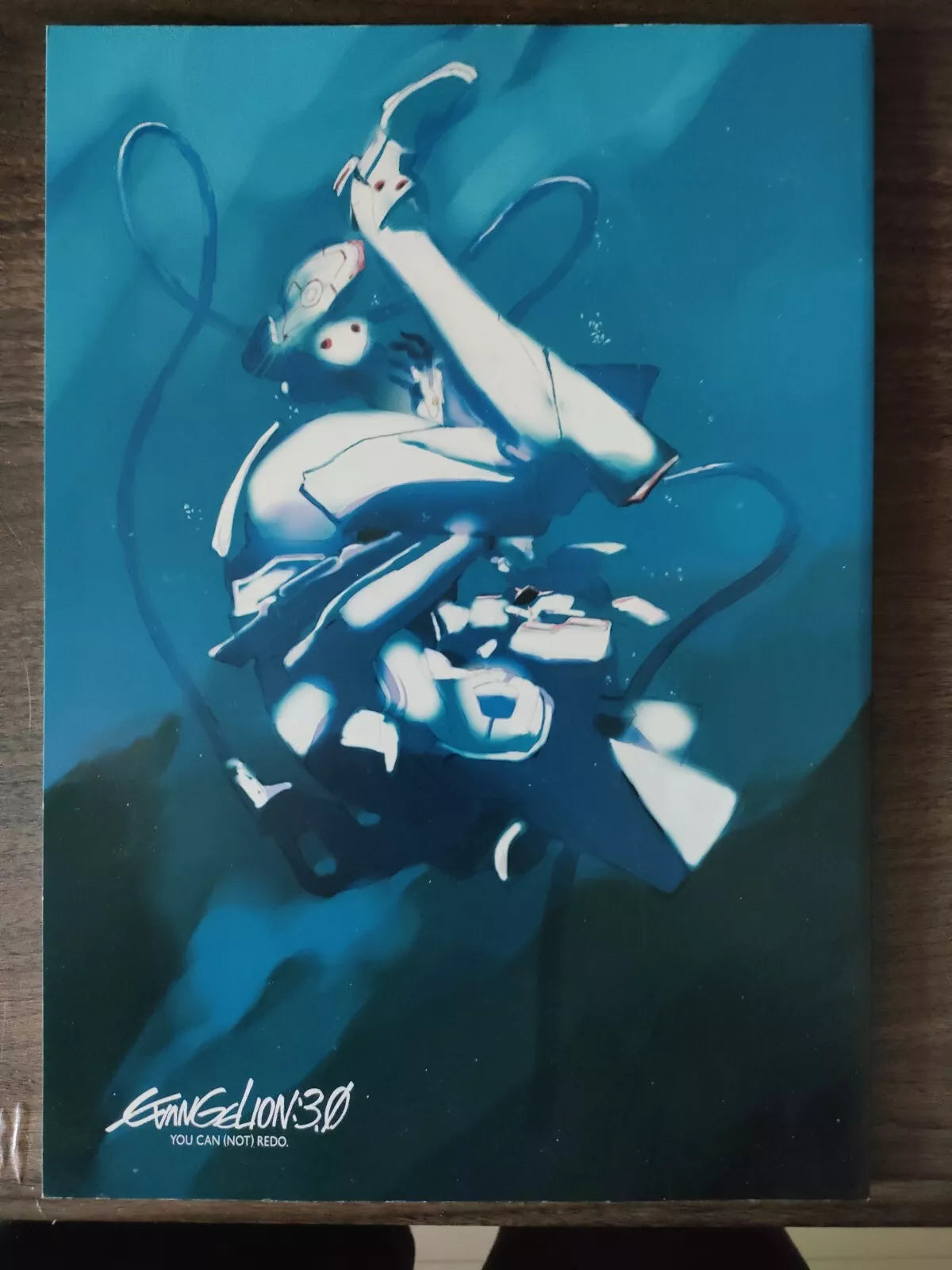 Evangelion 3.0 You Can (Not) Redo Japanese Anime Movie Program Pamphlet 2012