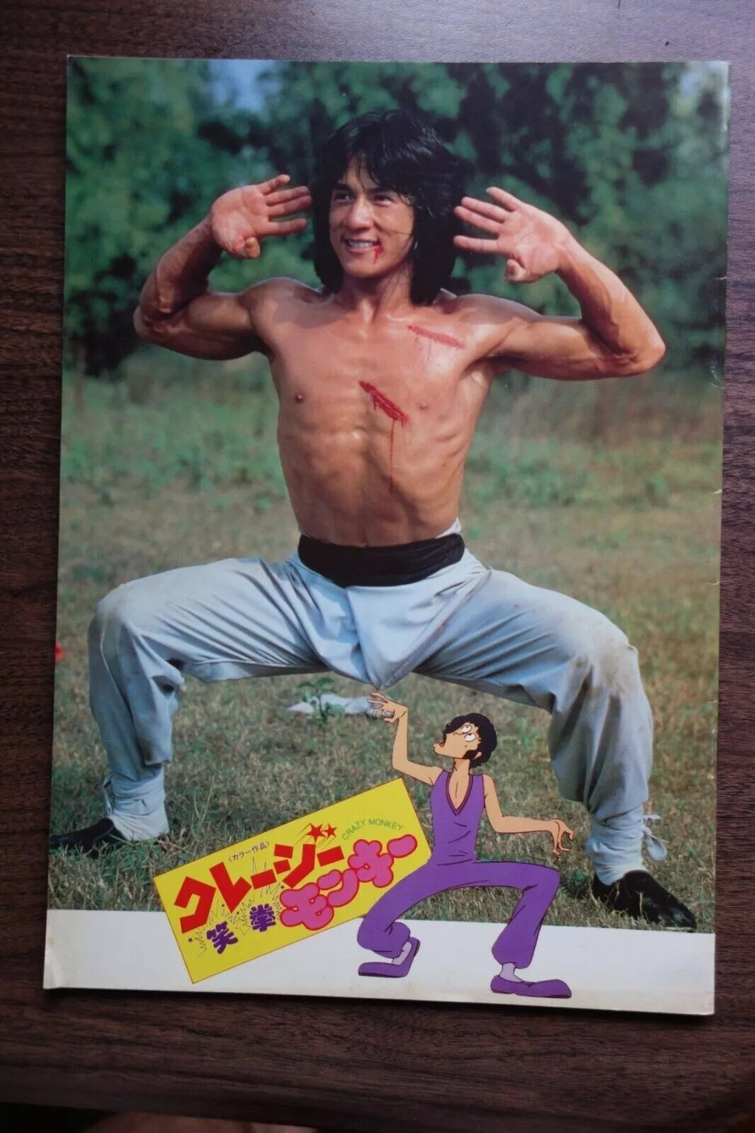 The Fearless Hyena Japanese Film Movie Program Pamphlet 1979 Jackie Chan