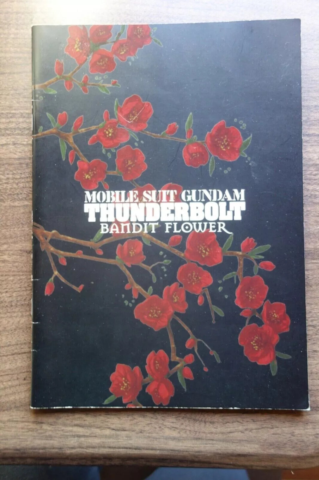Gundam Thunderbolt Bandit Flower Japanese Anime Film Movie Program Pamphlet 2017