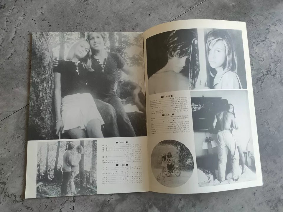 A Swedish Love Story Japanese Movie Program Pamphlet 1970