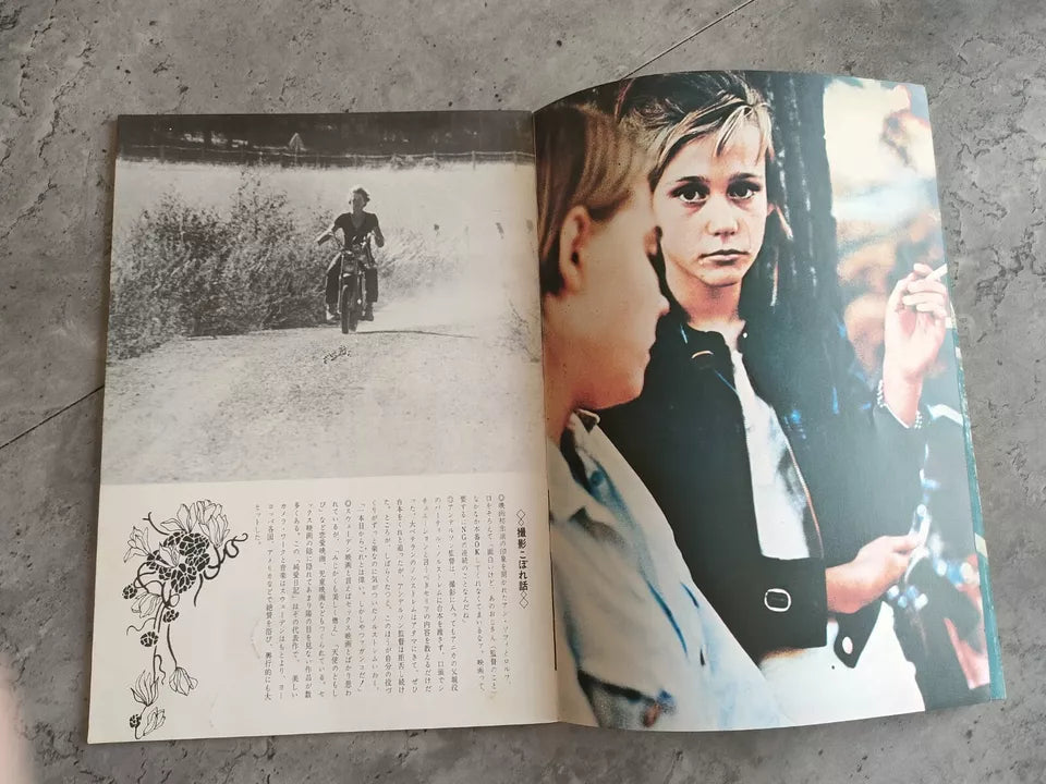 A Swedish Love Story Japanese Movie Program Pamphlet 1970