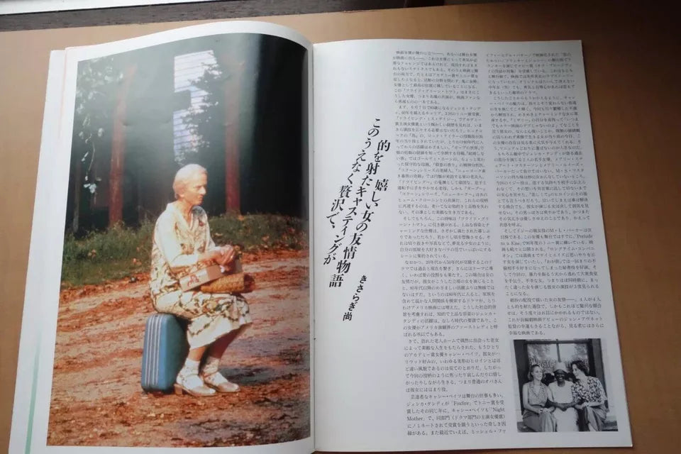 Fried Green Tomatoes Japanese Movie Program Pamphlet 1991