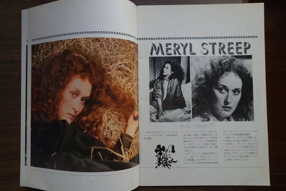 The French Lieutenant's Woman Japanese Film Movie Program Pamphlet 1981