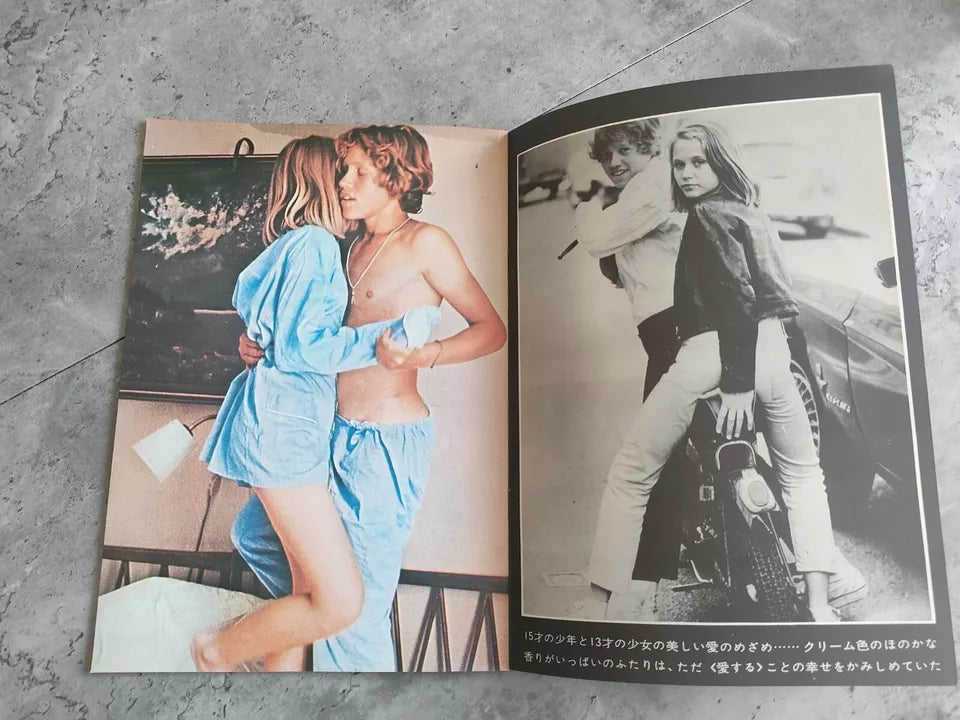 A Swedish Love Story Japanese Movie Program Pamphlet 1970