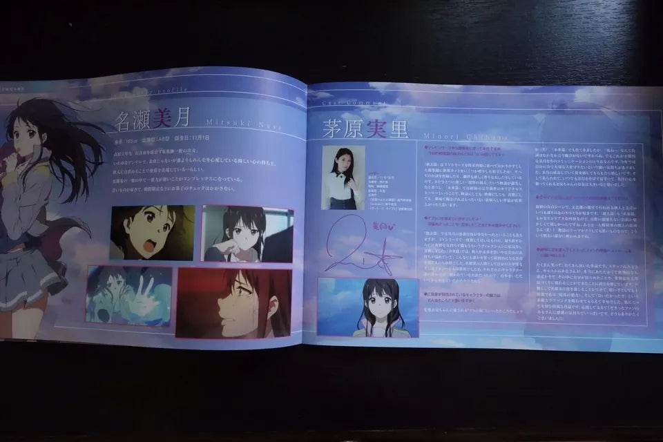 Beyond The Boundaries Japanese Anime Movie Program Pamphlet 2015
