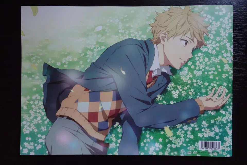 Beyond The Boundaries Japanese Anime Movie Program Pamphlet 2015
