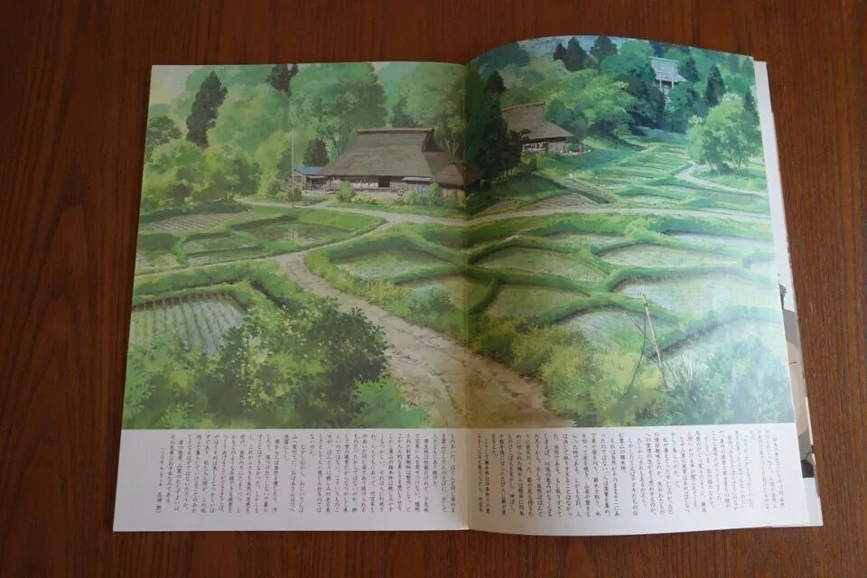Pom Poko Japanese Anime Movie Program Pamphlet 1994 Ghibli Takahata