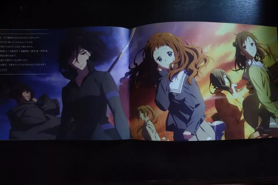 Beyond The Boundaries Japanese Anime Movie Program Pamphlet 2015