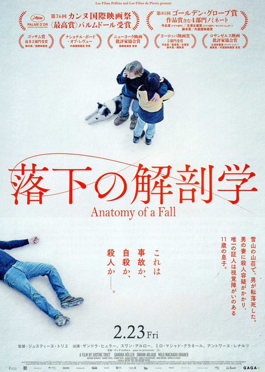 Anatomy of A Fall Japanese Chirashi Mini Ad-Flyer Poster 2023