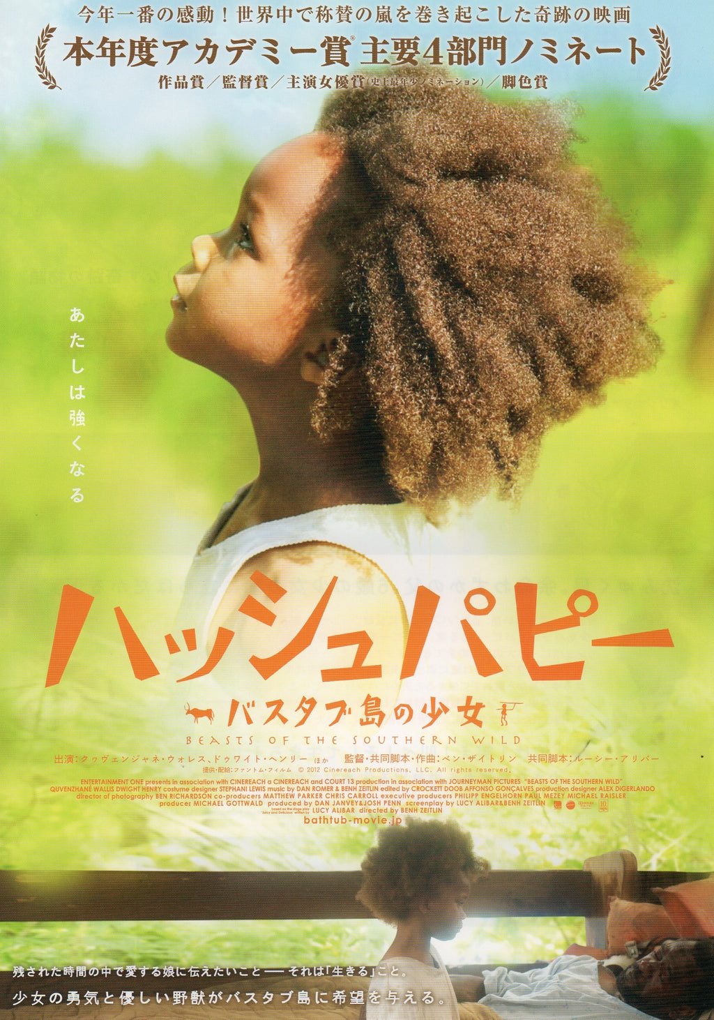 Beasts of The Southern Wild Japanese Chirashi Mini Ad-Flyer Poster 2012