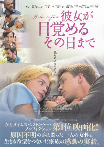 Brain On Fire Japanese Chirashi Mini Ad-Flyer Poster 2016