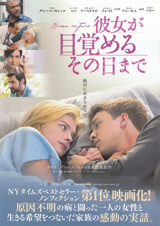 Brain On Fire Japanese Chirashi Mini Ad-Flyer Poster 2016