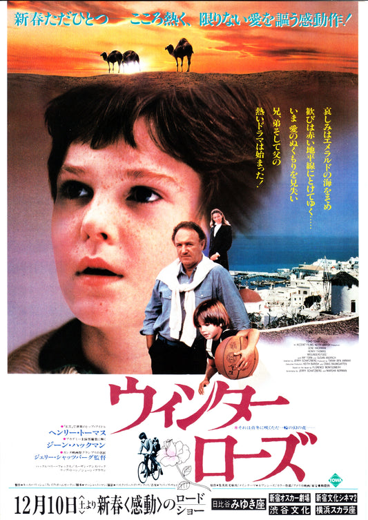 Misunderstood Japanese Chirashi Mini Ad-Flyer Poster 1984 B