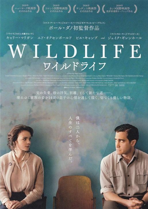Wildlife Japanese Chirashi Mini Ad-Flyer Poster 2018