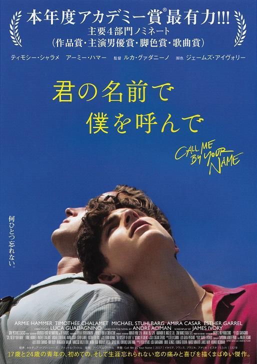 Call Me By Your Name Japanese Chirashi Mini Ad-Flyer Poster 2017