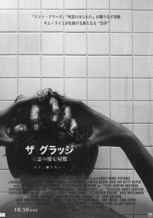 Grudge Japanese Chirashi Mini Ad-Flyer Poster 2020
