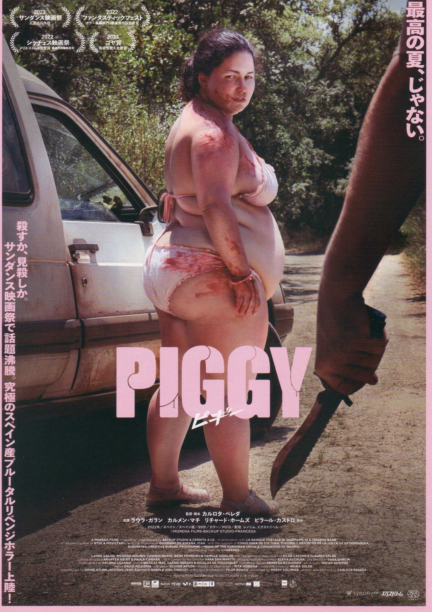 Piggy Japanese Chirashi Mini Ad-Flyer Poster 2022