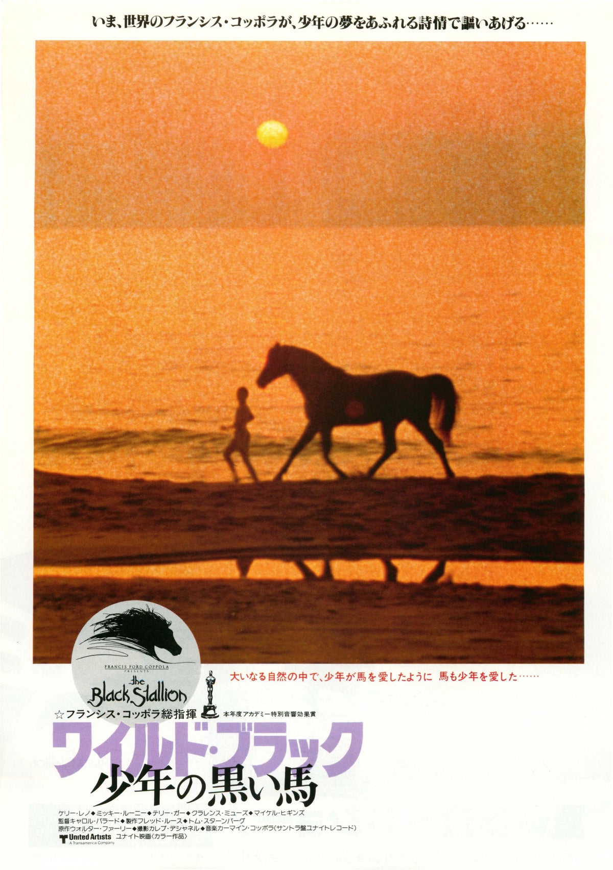The Black Stallion Japanese Chirashi Mini Ad-Flyer Poster 1979