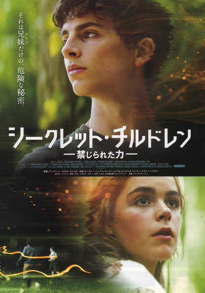 One And Two Japanese Chirashi Mini Ad-Flyer Poster 2015 Chalamet