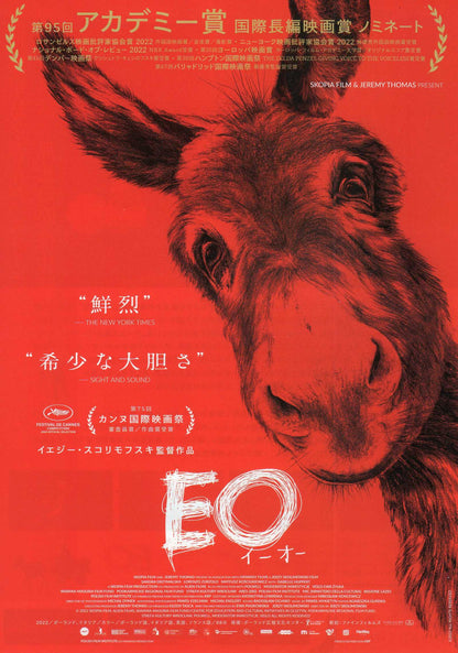 Eo Japanese Chirashi Mini Ad-Flyer Poster 2022 Jerzy Skolimowski