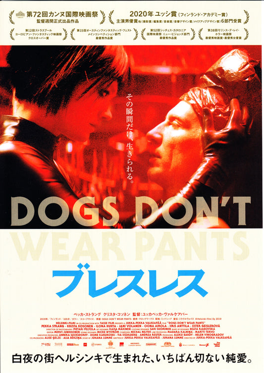 Dogs Don't Wear Pants Japanese Chirashi Mini Ad-Flyer Poster 2019
