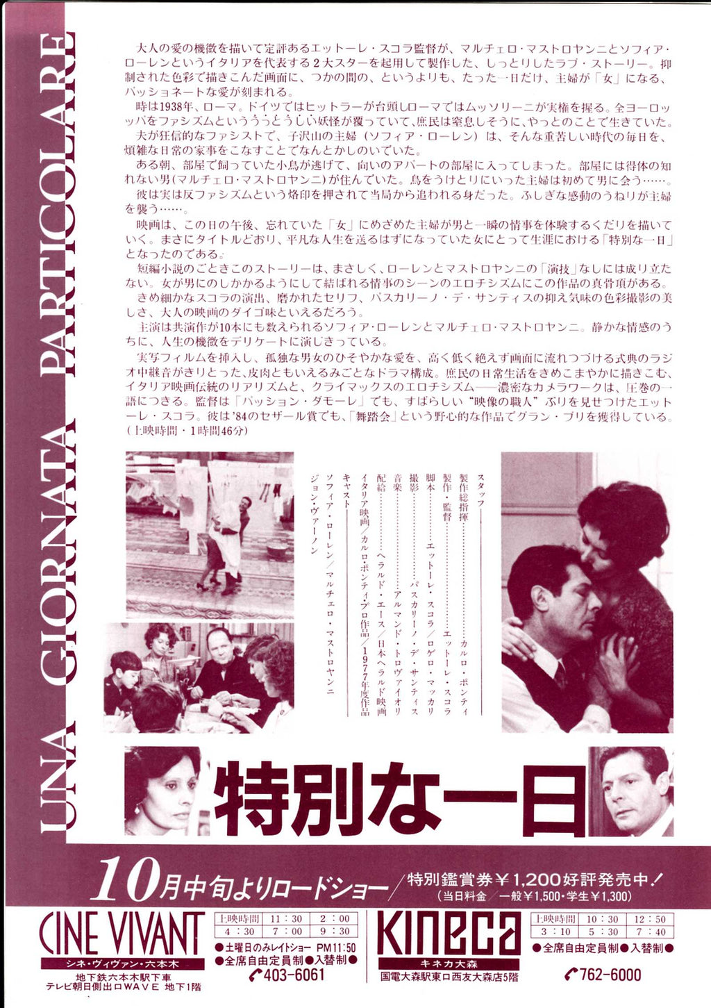 A Special Day Japanese Chirashi Mini Ad-Flyer Poster 1977 Loren Mastroianni