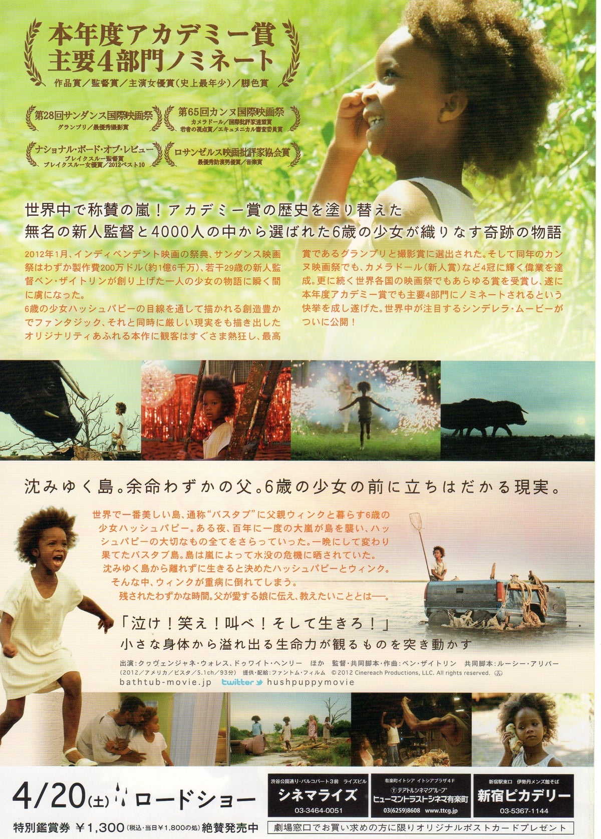 Beasts of The Southern Wild Japanese Chirashi Mini Ad-Flyer Poster 2012