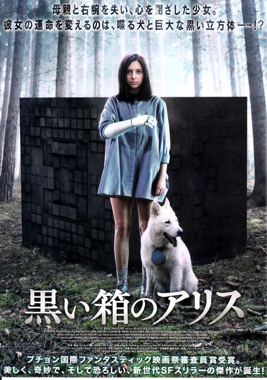 Black Hollow Cage Japanese Chirashi Mini Ad-Flyer Poster 2017