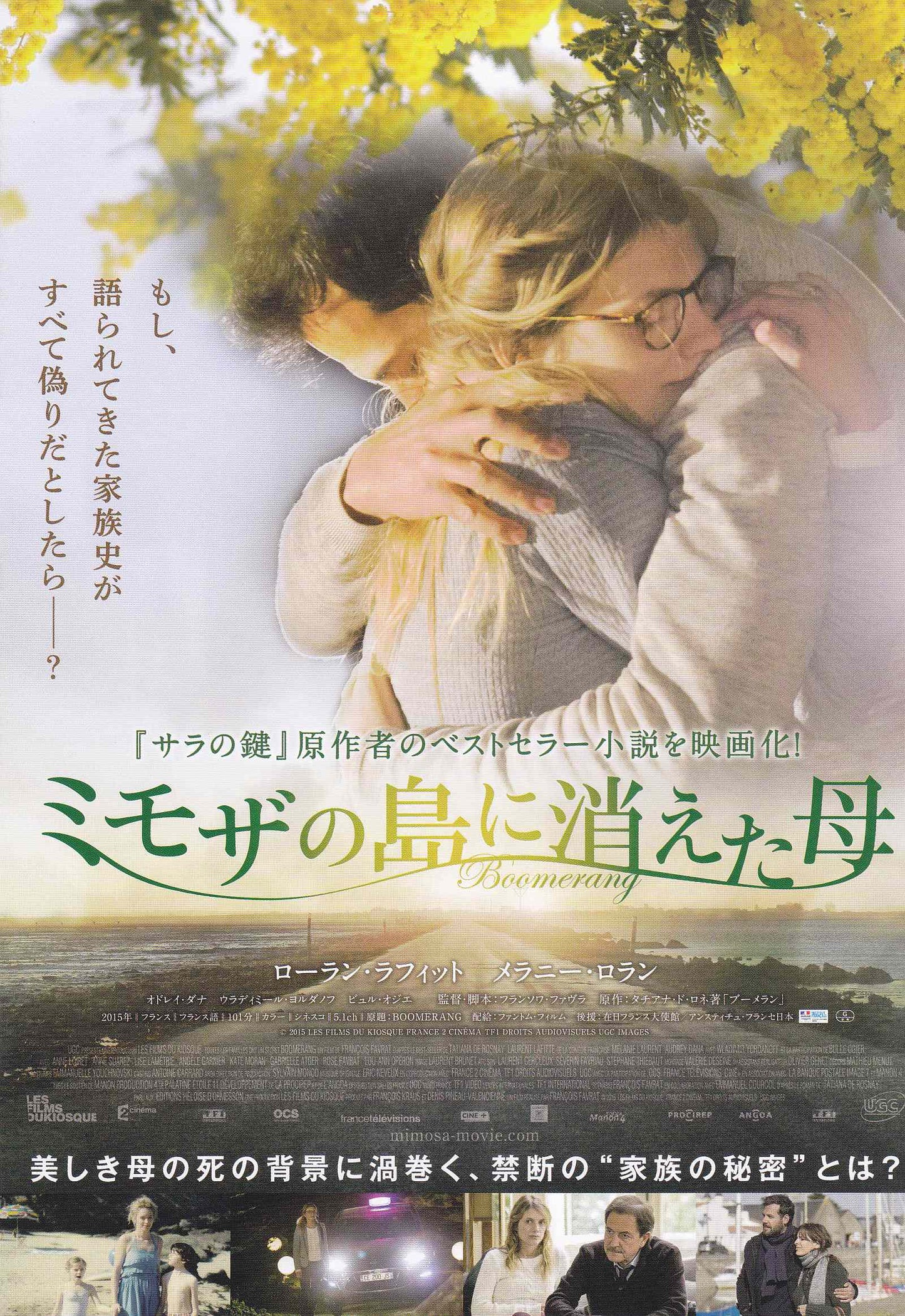 Boomerang Japanese Chirashi Mini Ad-Flyer Poster 2015 B