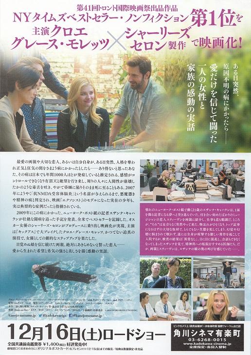 Brain On Fire Japanese Chirashi Mini Ad-Flyer Poster 2016