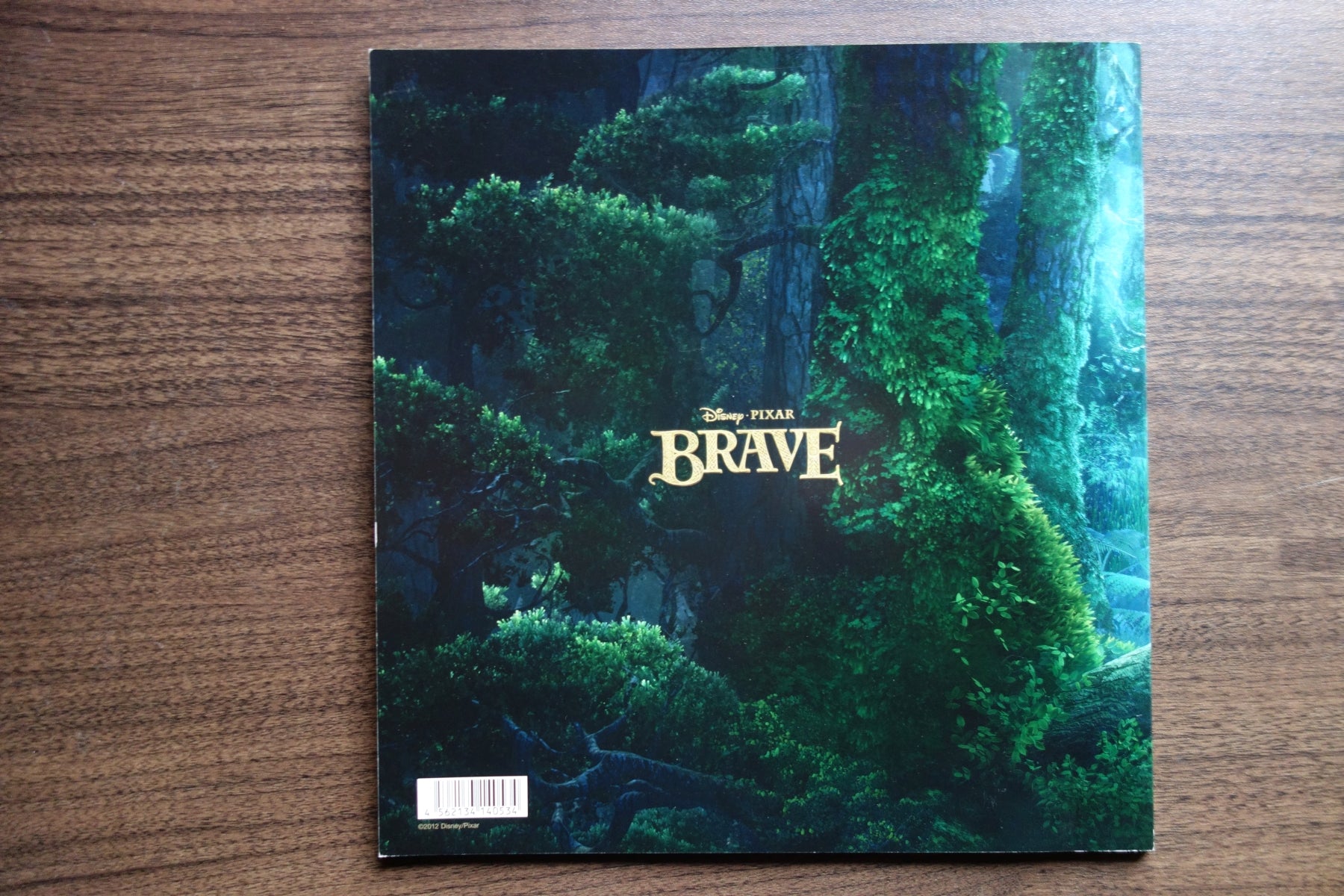 Brave Japanese Anime Movie Program Pamphlet 2012