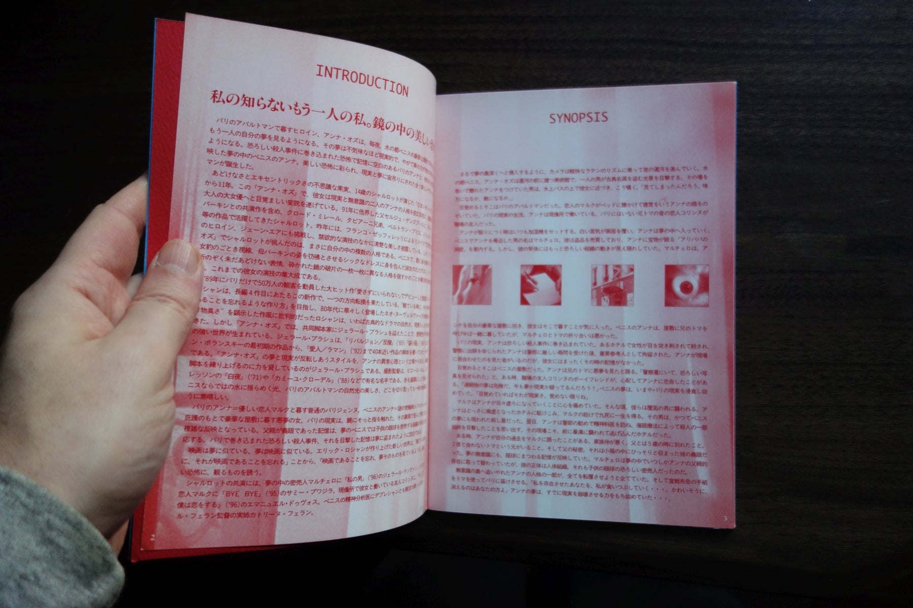 Anna Oz Japanese Anime Movie Program Pamphlet 1996