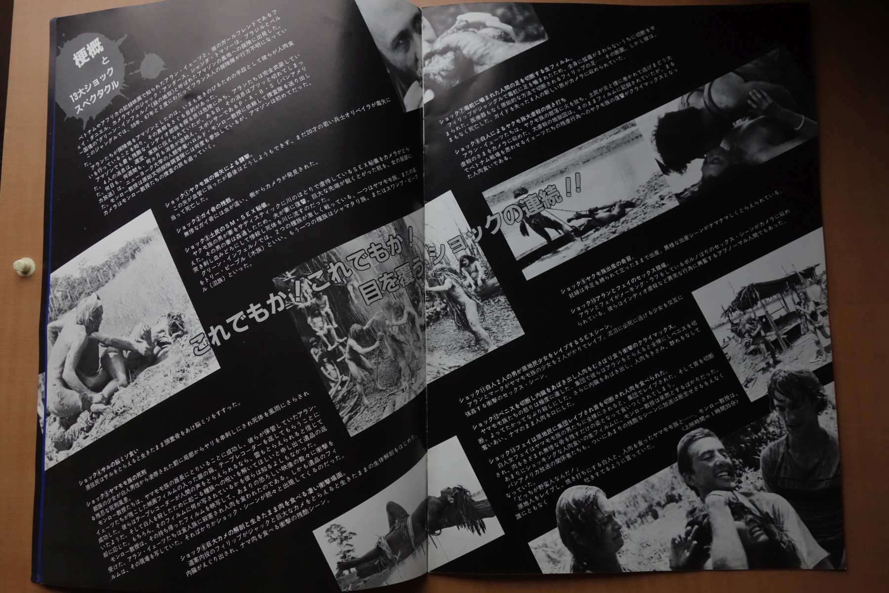Cannibal Holocaust Japanese Movie Program Pamphlet 1980 Ruggero Deodato