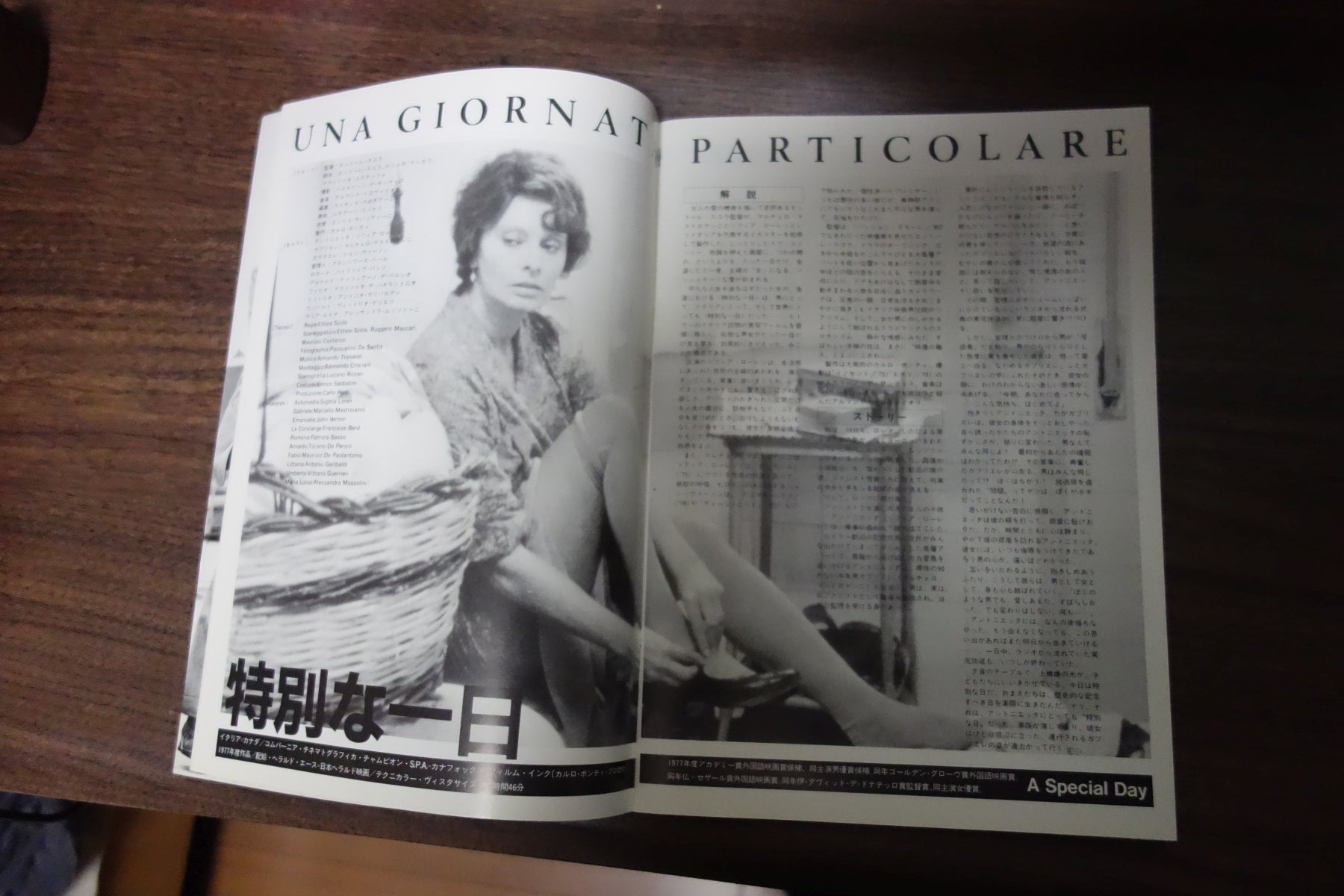 Una Giornata Particolare Japanese Movie Program Pamphlet 1977 Loren Mastroianni
